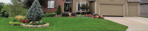 Contact Our Kansas City Lawn Care