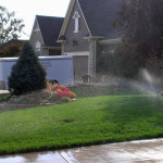Lawn Care Kansas City Watering Grass